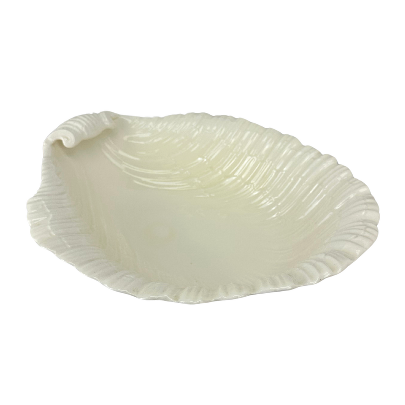 Large Ceramic Shell Dish