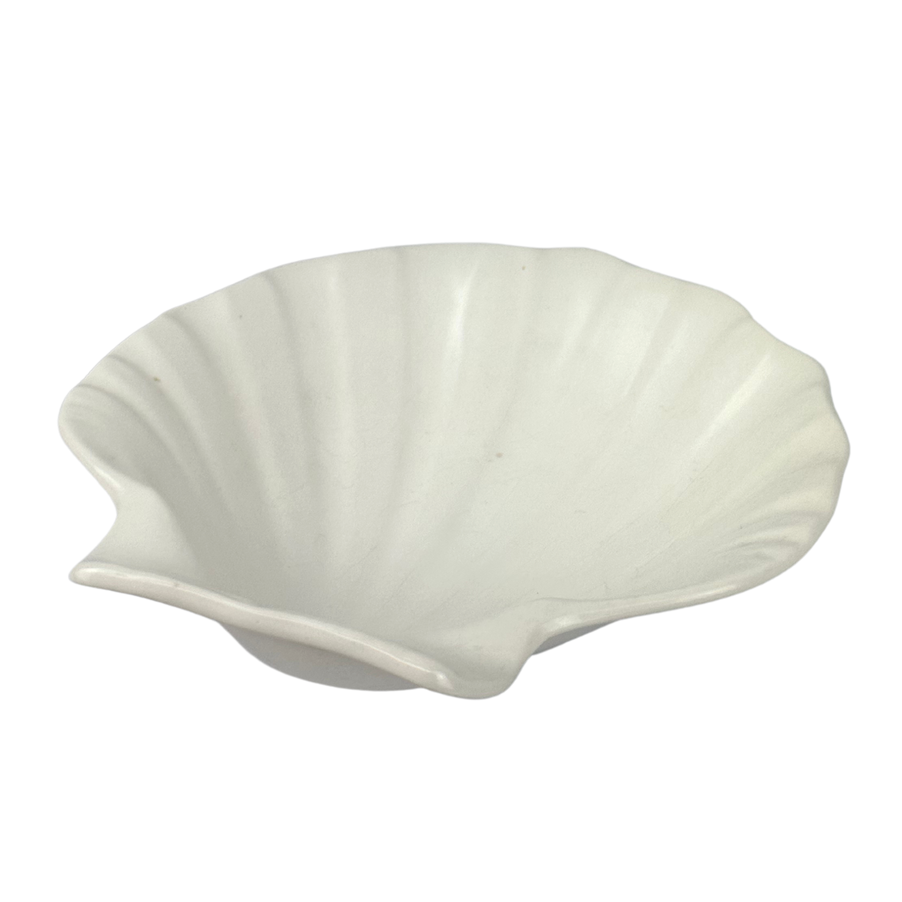 Wedgwood White Nautilus Shell Dish – Lily's Vintage Finds