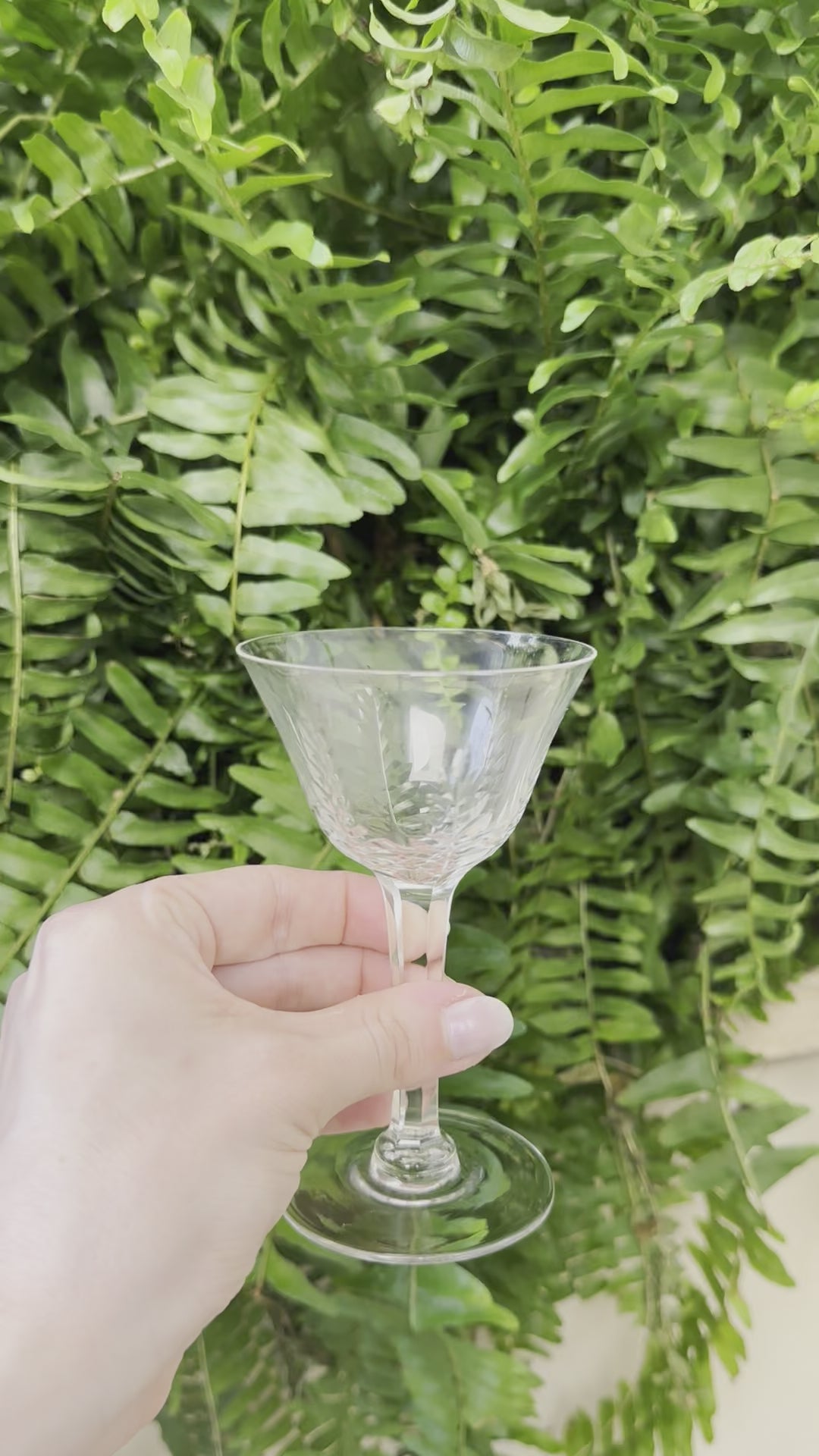 Kusak Crystal 'Standing Laurel', Liquor/ Shot Glass - Set of 2